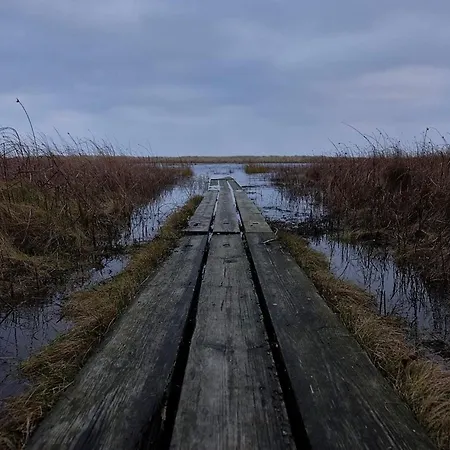 9 Person In Hals-by Traum 펜션 *