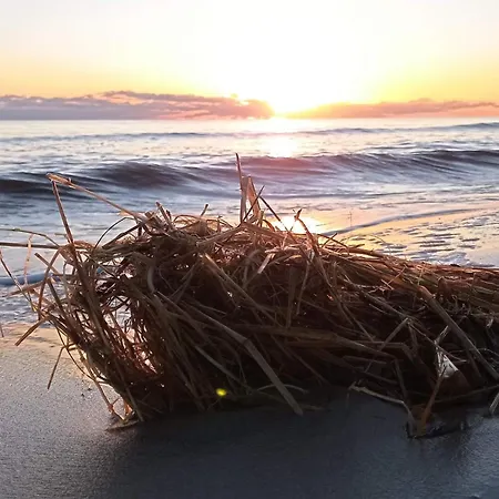 9 Person In Hals-by Traum 펜션 *